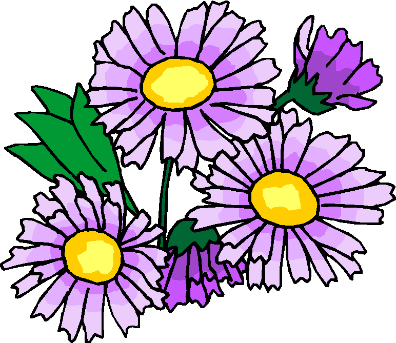 daisy clipart may flower