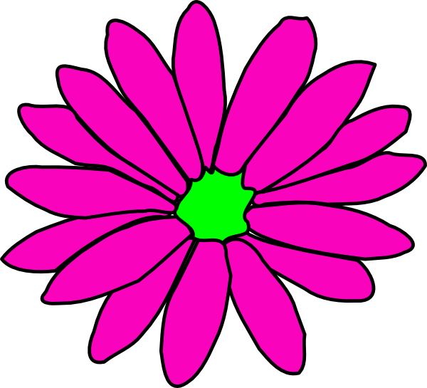 daisy clipart pink daisy