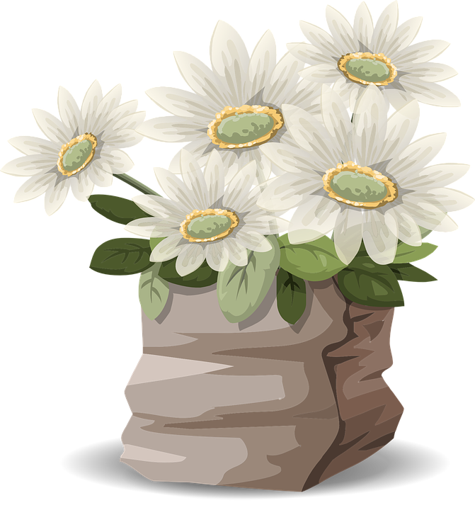 daisy clipart teal flower