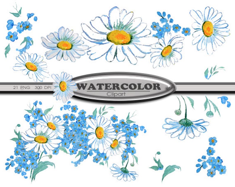 Daisy clipart watercolour. Watercolor daisies forget me