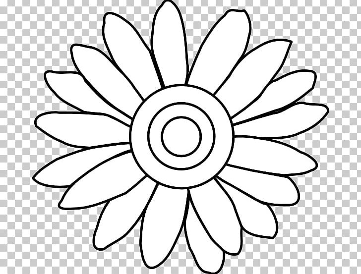 Flower drawing common png. Daisy clipart white color