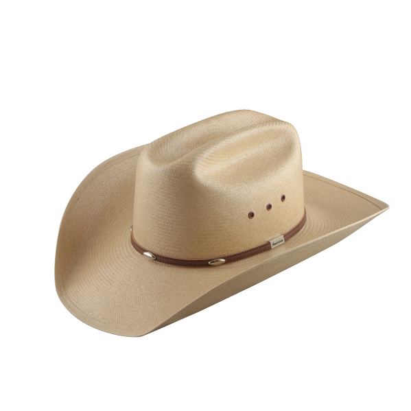 Cowboy hat images download. Dallas cowboys clipart stetson