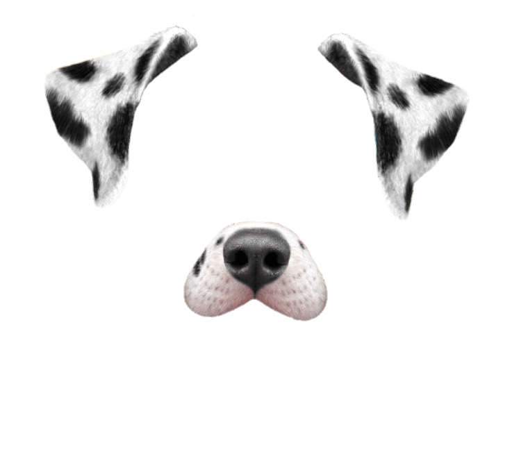 Dalmatian dog filter transparent