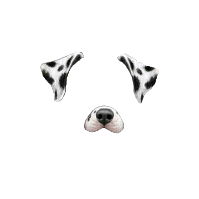 dalmatian clipart dog filter transparent