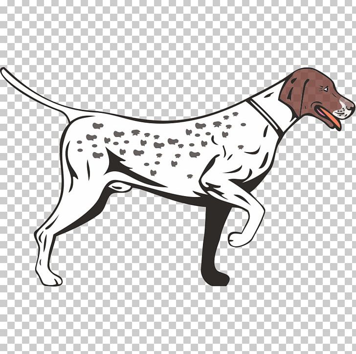 German shorthaired longhaired vizsla. Dalmatian clipart pointer dog