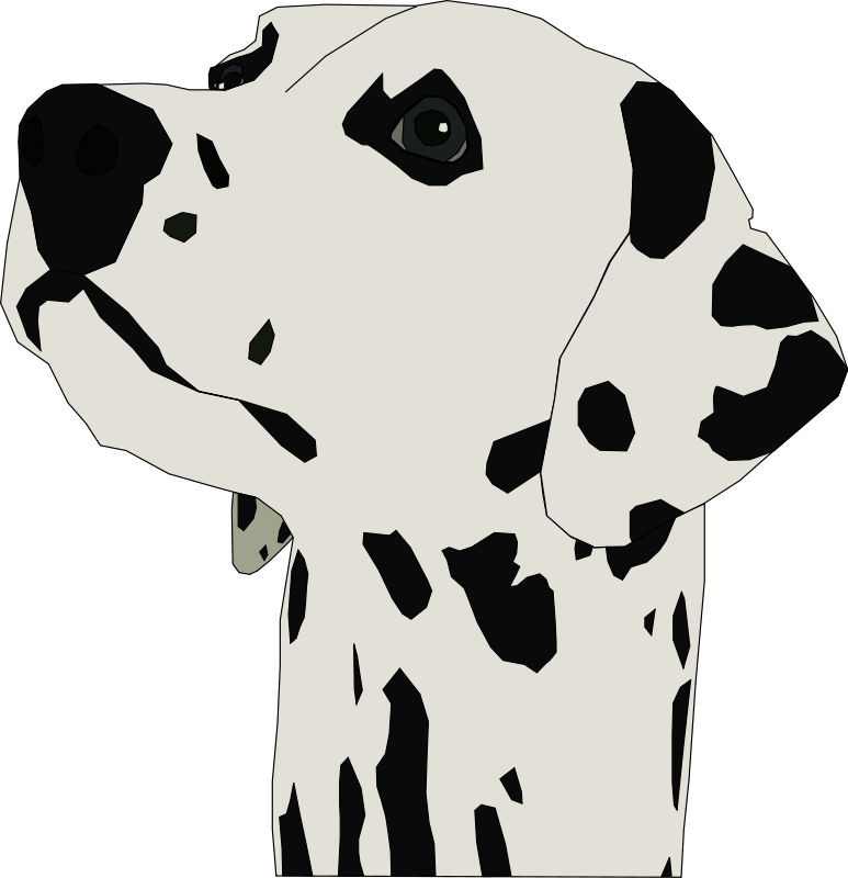 dalmatian clipart pointer dog