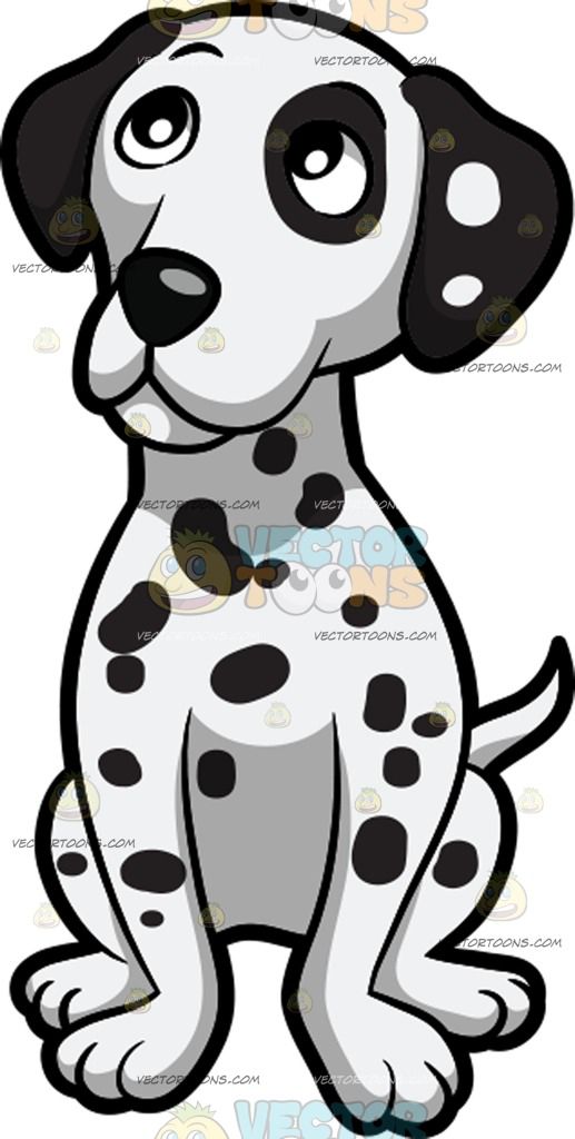 dalmatian clipart thin dog