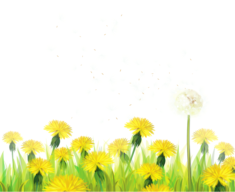 dandelion clipart abstract
