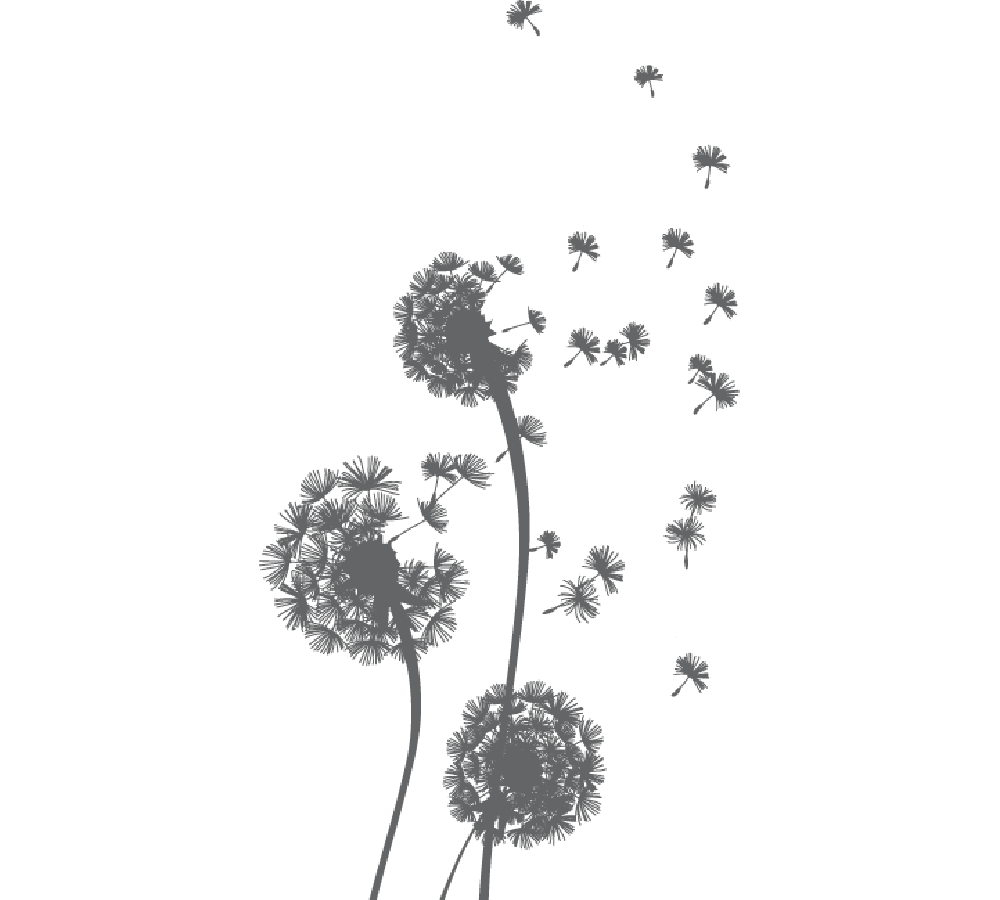 dandelion clipart abstract