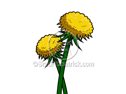 Dandelion clipart animated. Free download best on