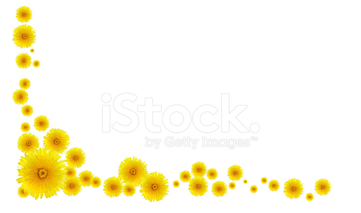 dandelion clipart border