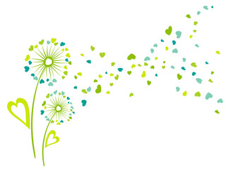 dandelion clipart colorful