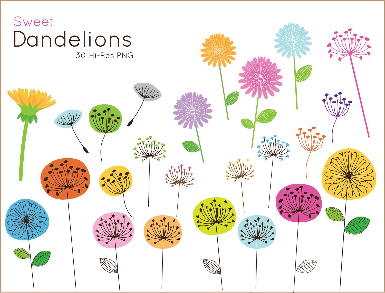 dandelion-clipart-colorful-dandelion-colorful-transparent-free-for