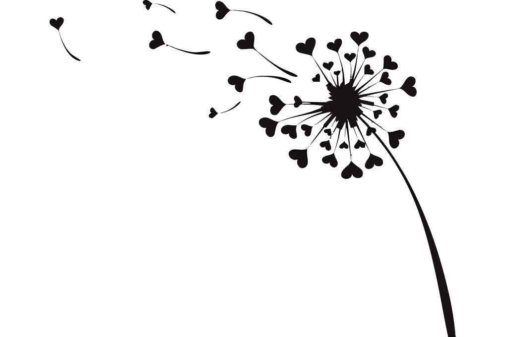 Dandelion dandelion clock