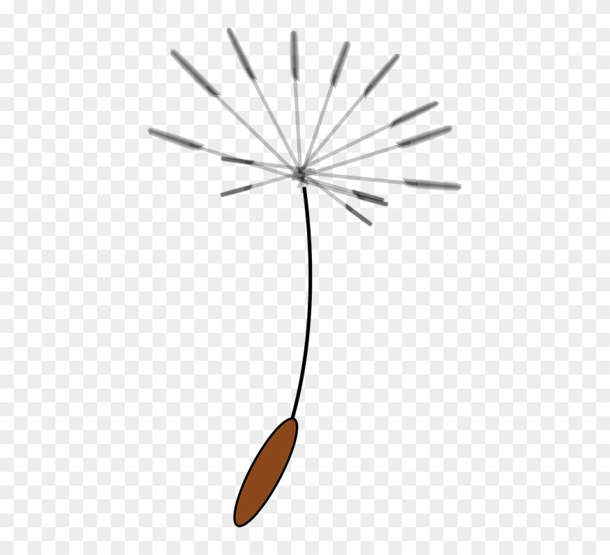Clip art png download. Dandelion clipart dandelion seed