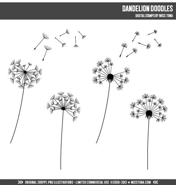 dandelion clipart doodle
