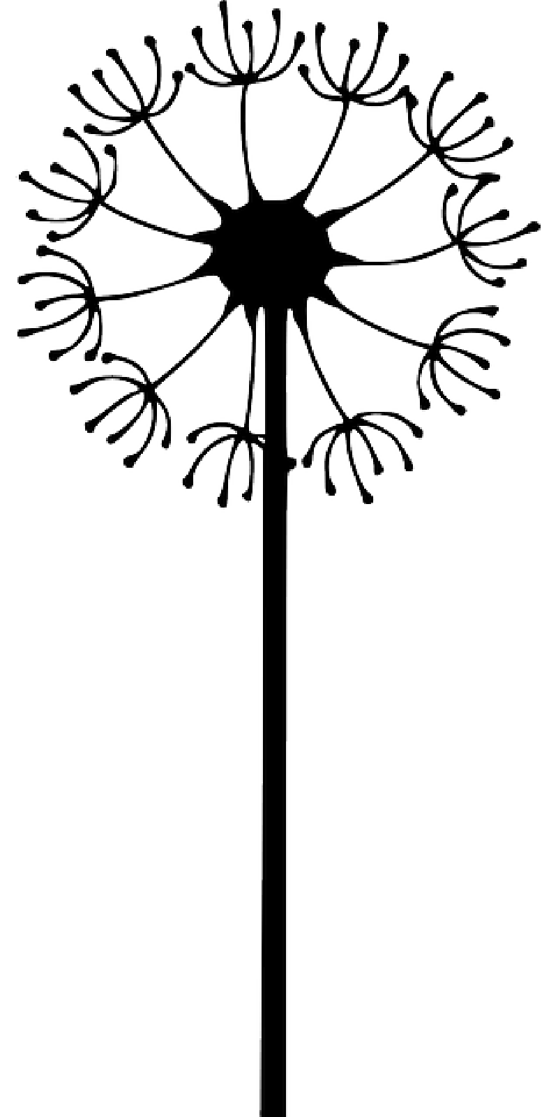 dandelion clipart drawn