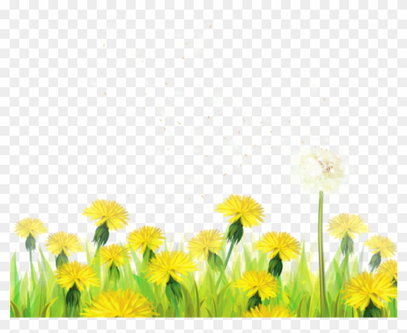 Dandelion clipart grass. Download transparent with dandelions