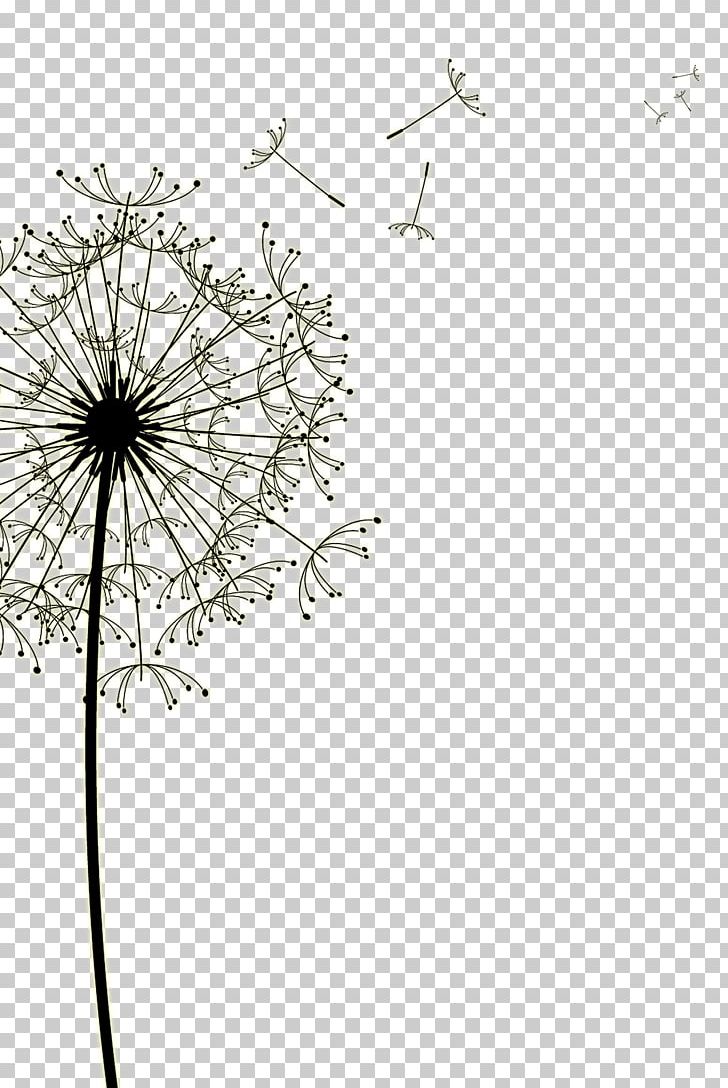 dandelion clipart high resolution