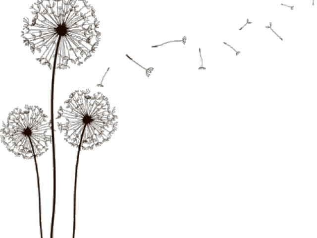 dandelion clipart high resolution