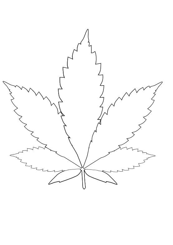 dandelion clipart minimalist