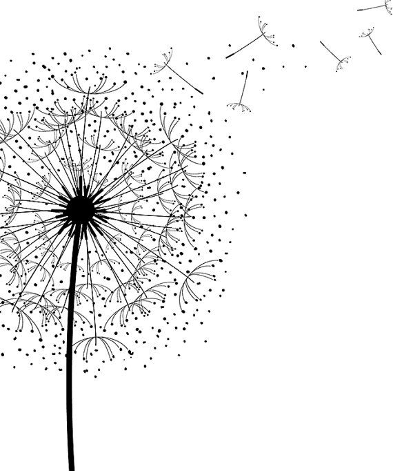 dandelion clipart minimalist