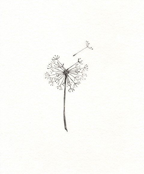 dandelion clipart minimalist