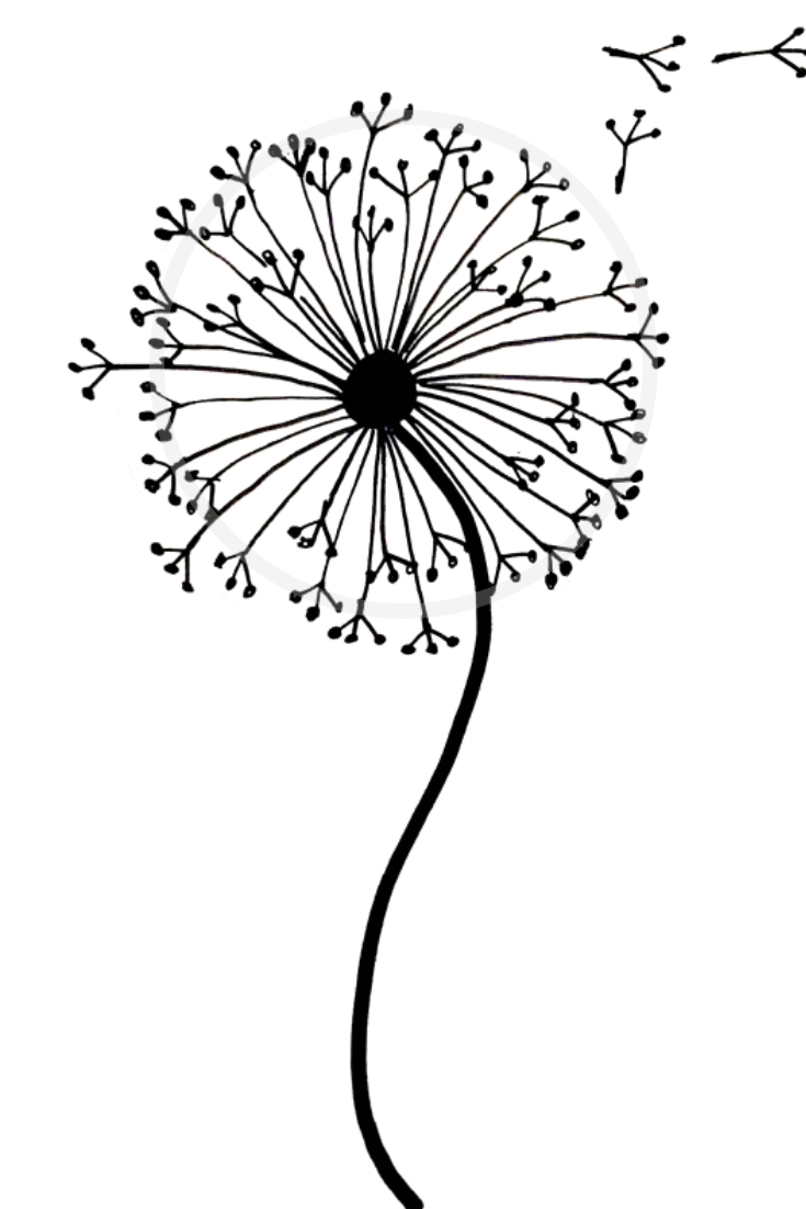dandelion clipart simple