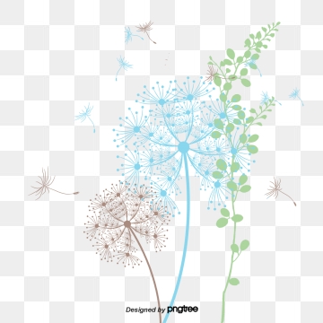 Dandelion clipart wallpaper, Dandelion wallpaper Transparent FREE for ...