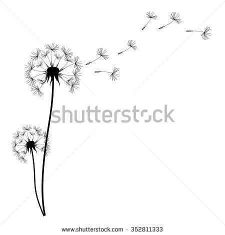 dandelion clipart wind drawing