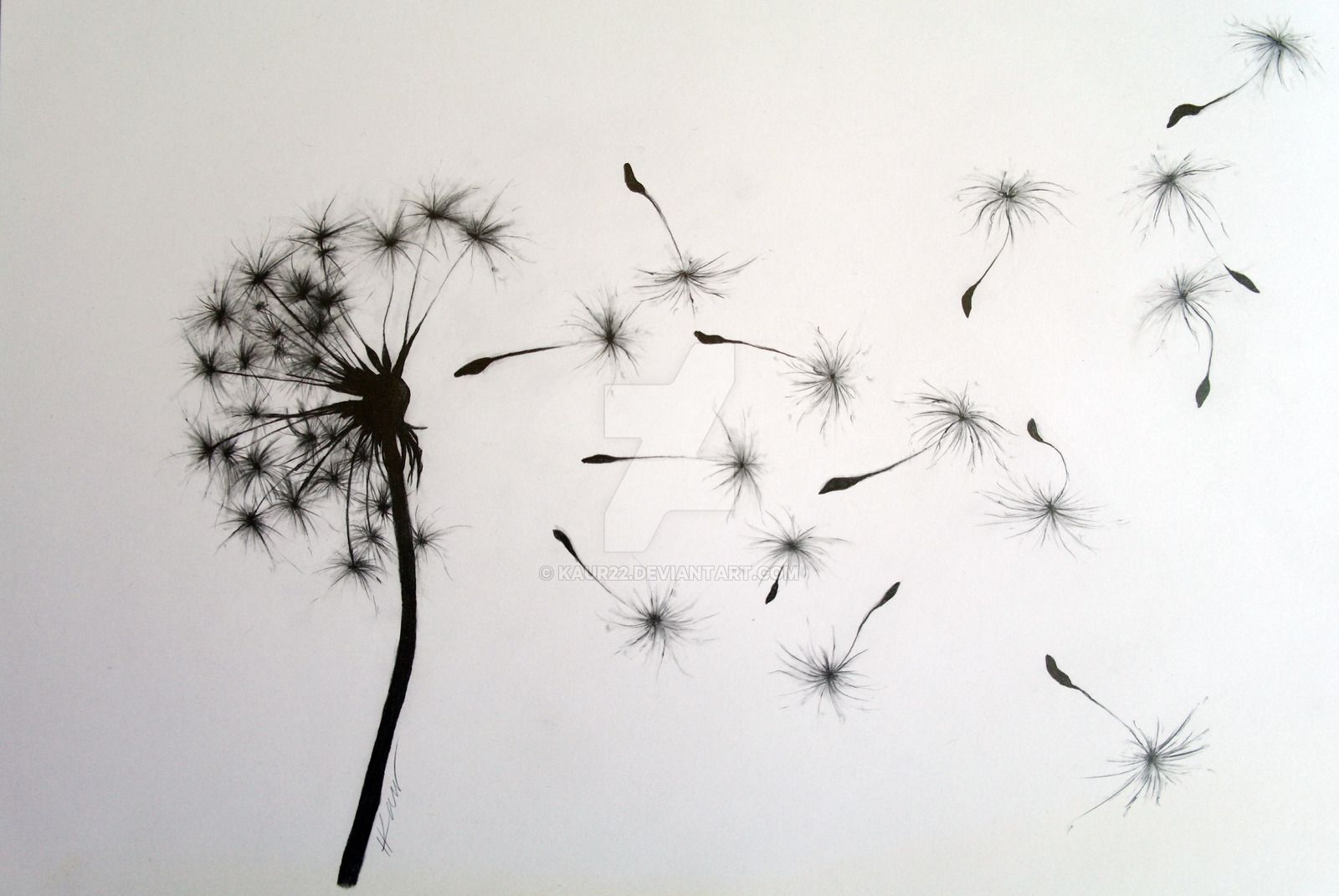 dandelion-clipart-wind-drawing-dandelion-wind-drawing-transparent-free
