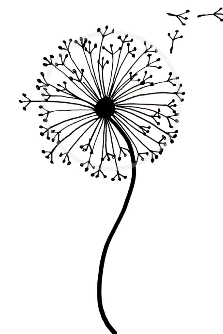 dandelion clipart zentangle