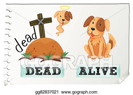 Eps vector opposite adjectives. Dead clipart alive