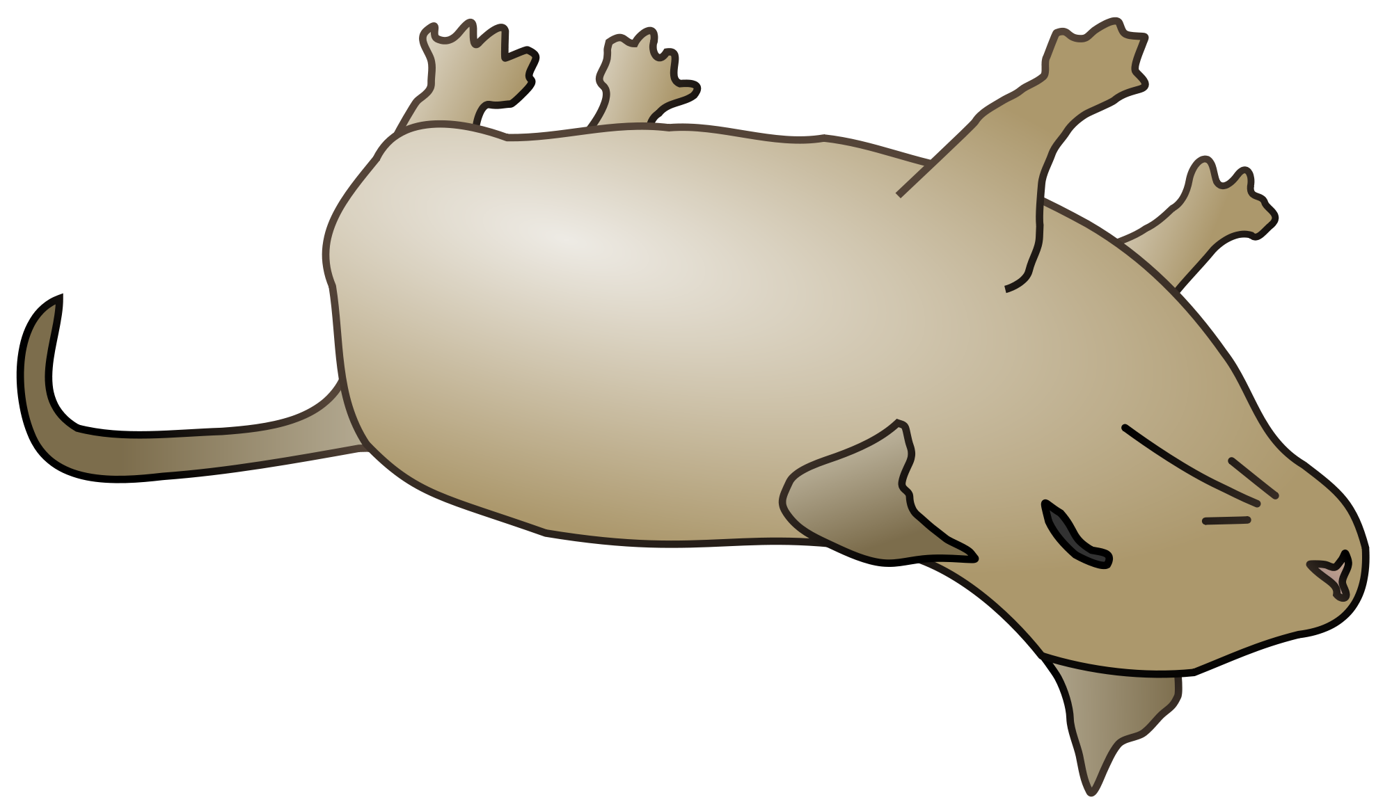  collection of dead. Hole clipart rat