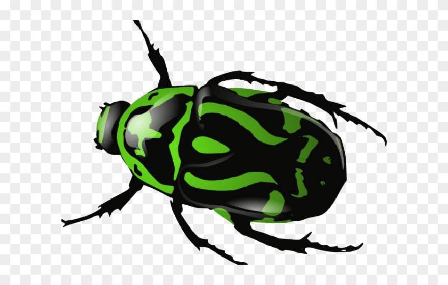 dead clipart dead insect