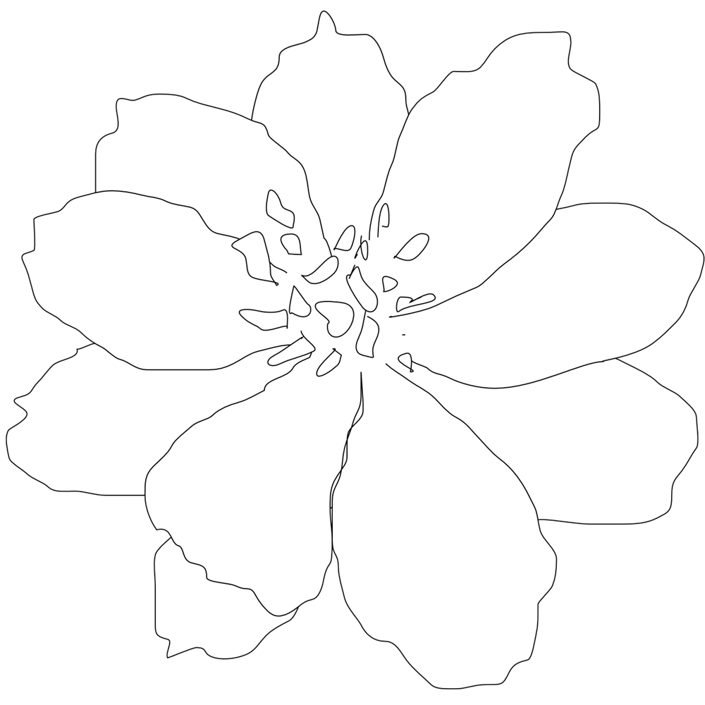 Orchid clipart stylised. White flowers clip art