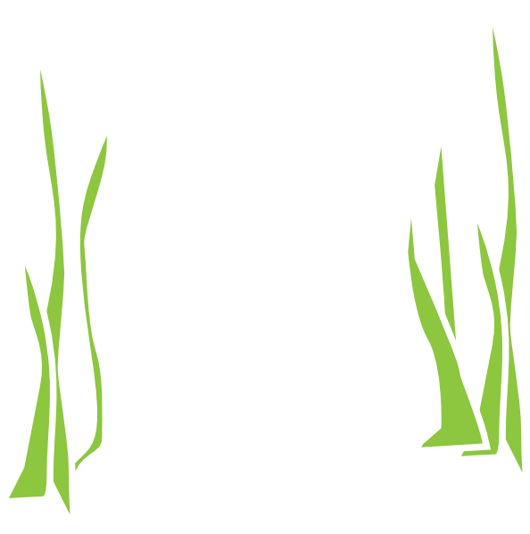 dead clipart seaweed