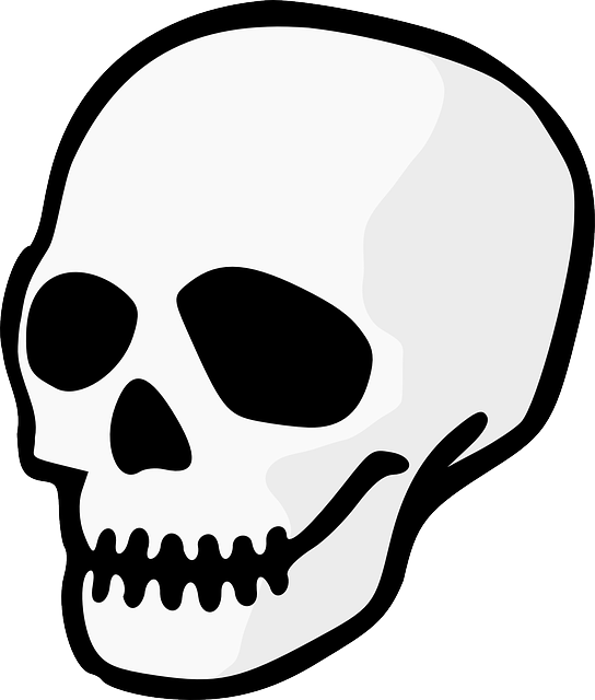 dead clipart skull bone