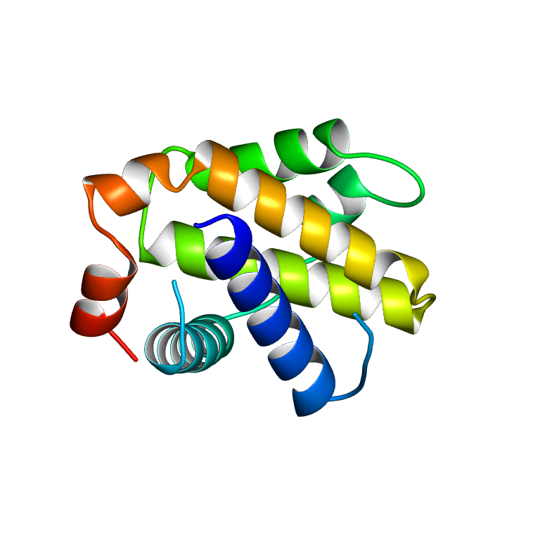 death clipart cell death