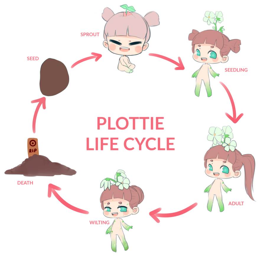 Plotties life cycle and. Seedling clipart plant stage