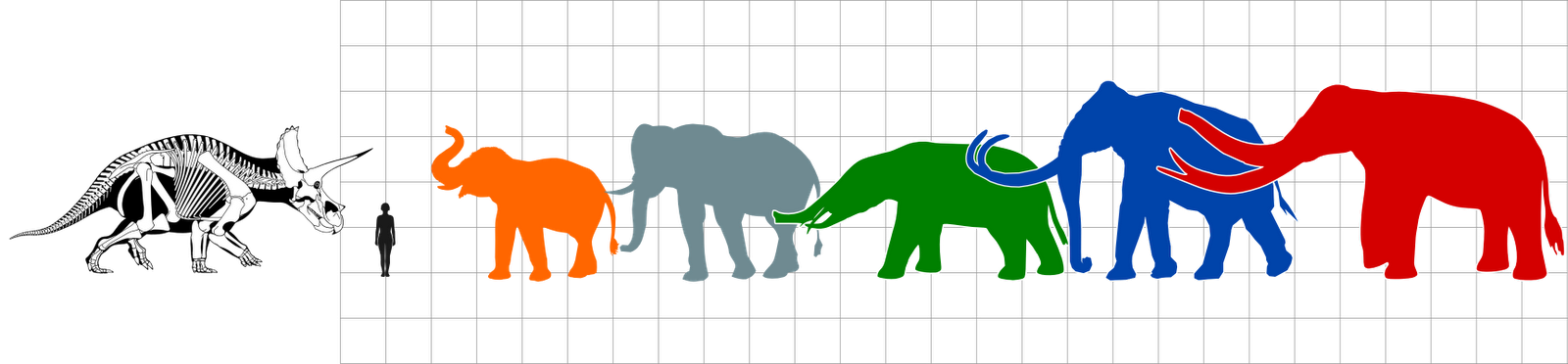 elephants clipart tired