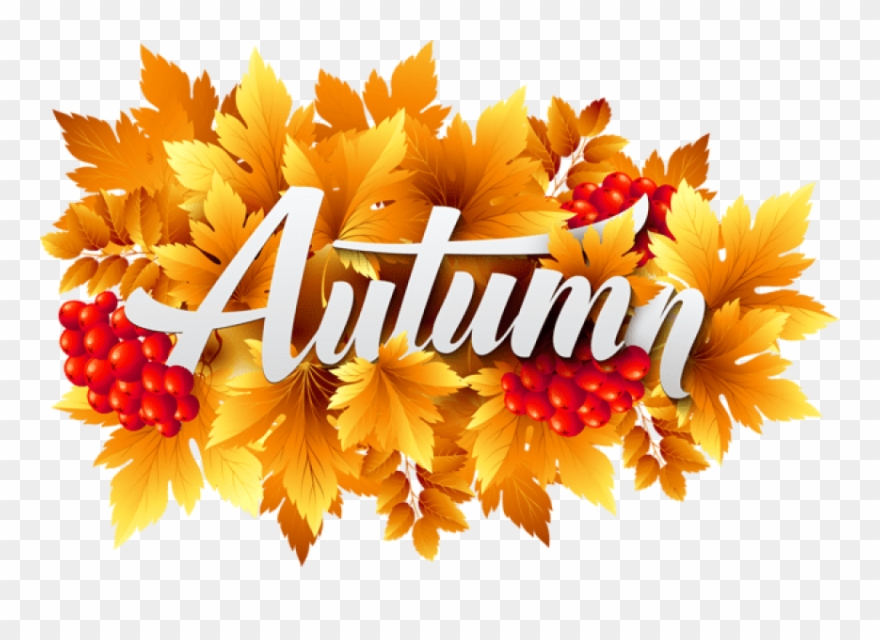 decoration clipart autumn