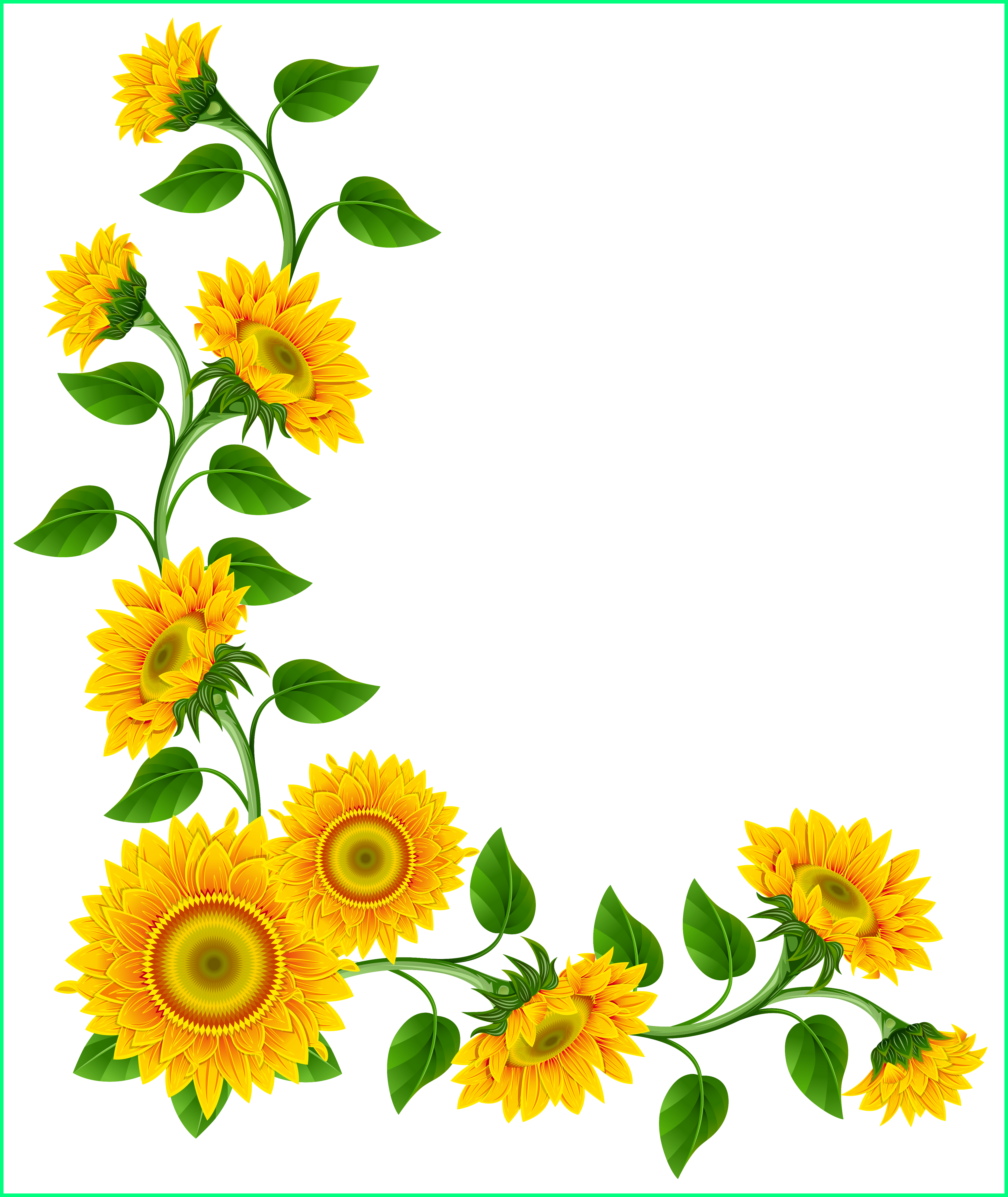 Awesome sunflower border png. Decoration clipart butterfly
