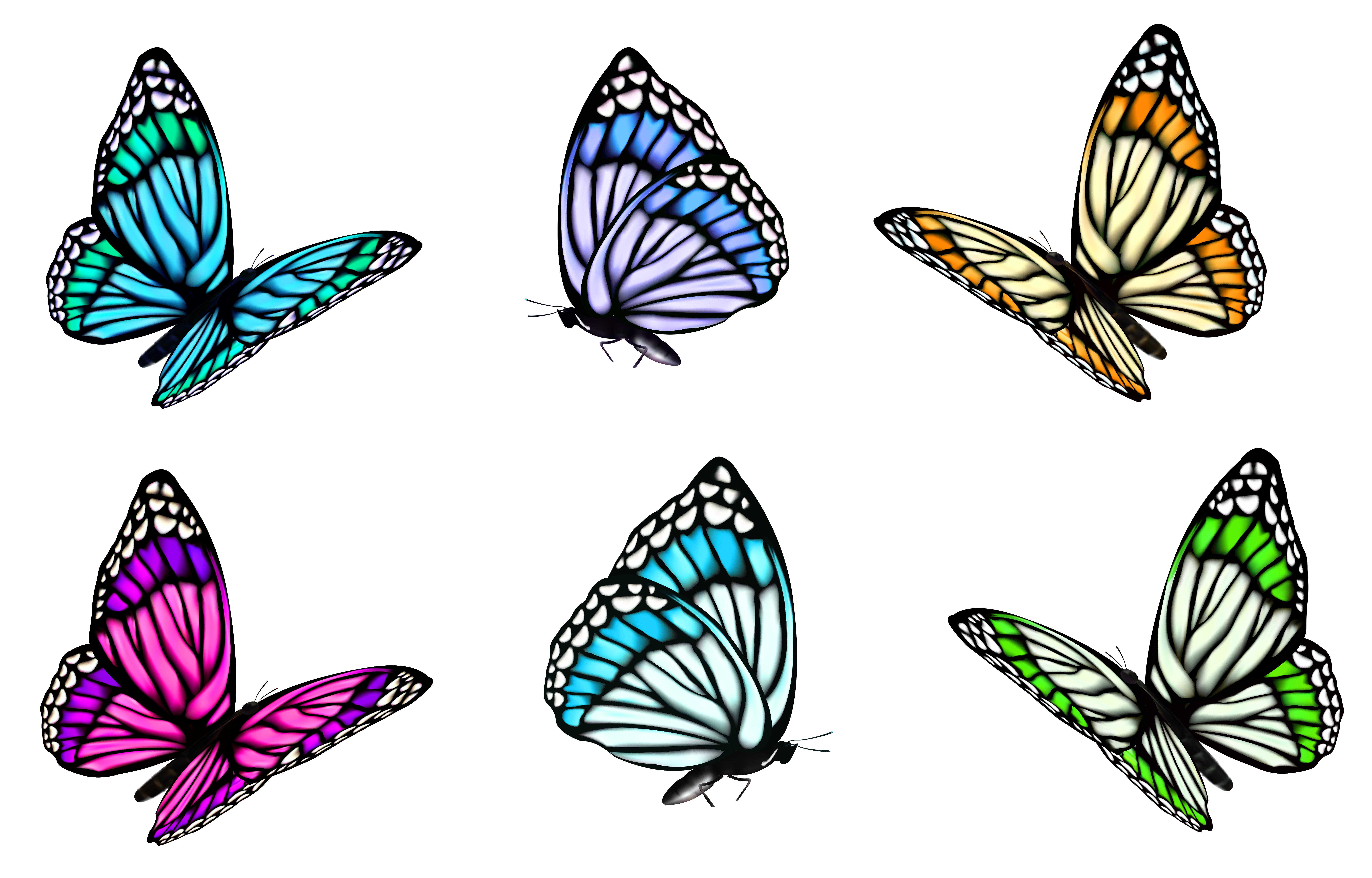 decoration clipart butterfly