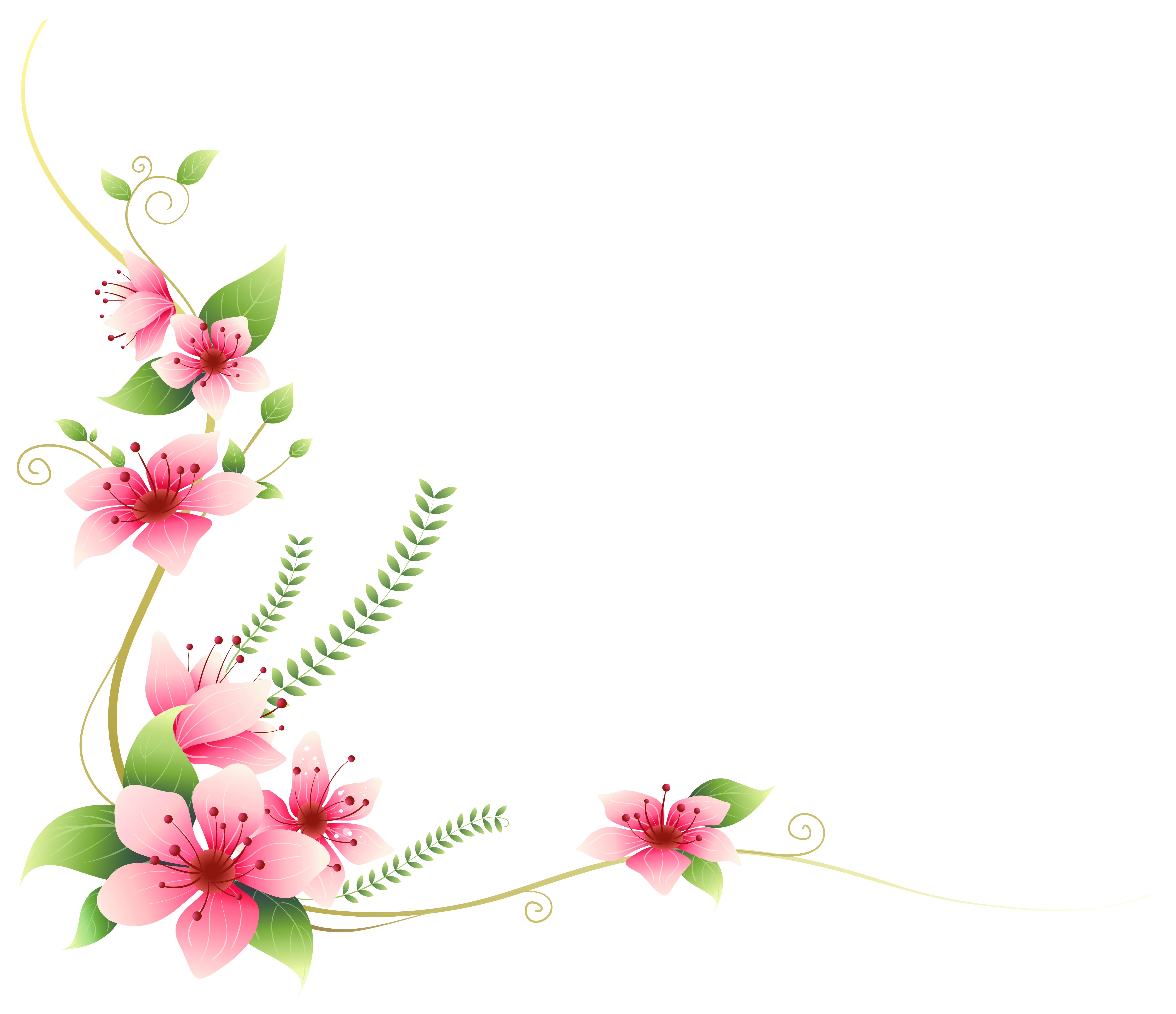 decorative clipart floral