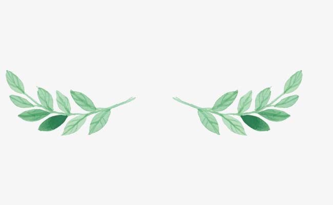 decorative clipart leaves