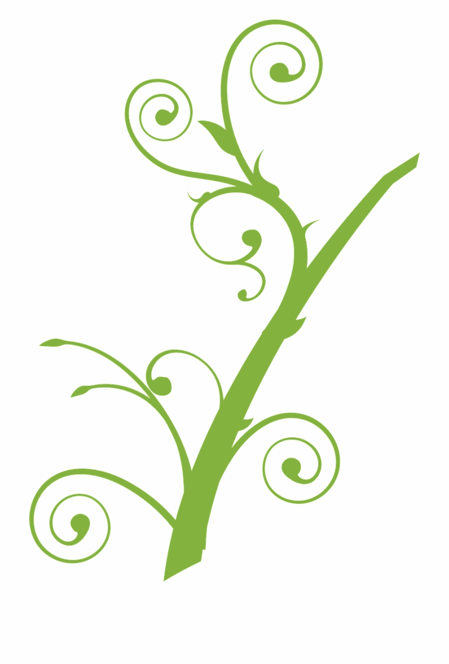 Decoration clipart plant. Vine green png image