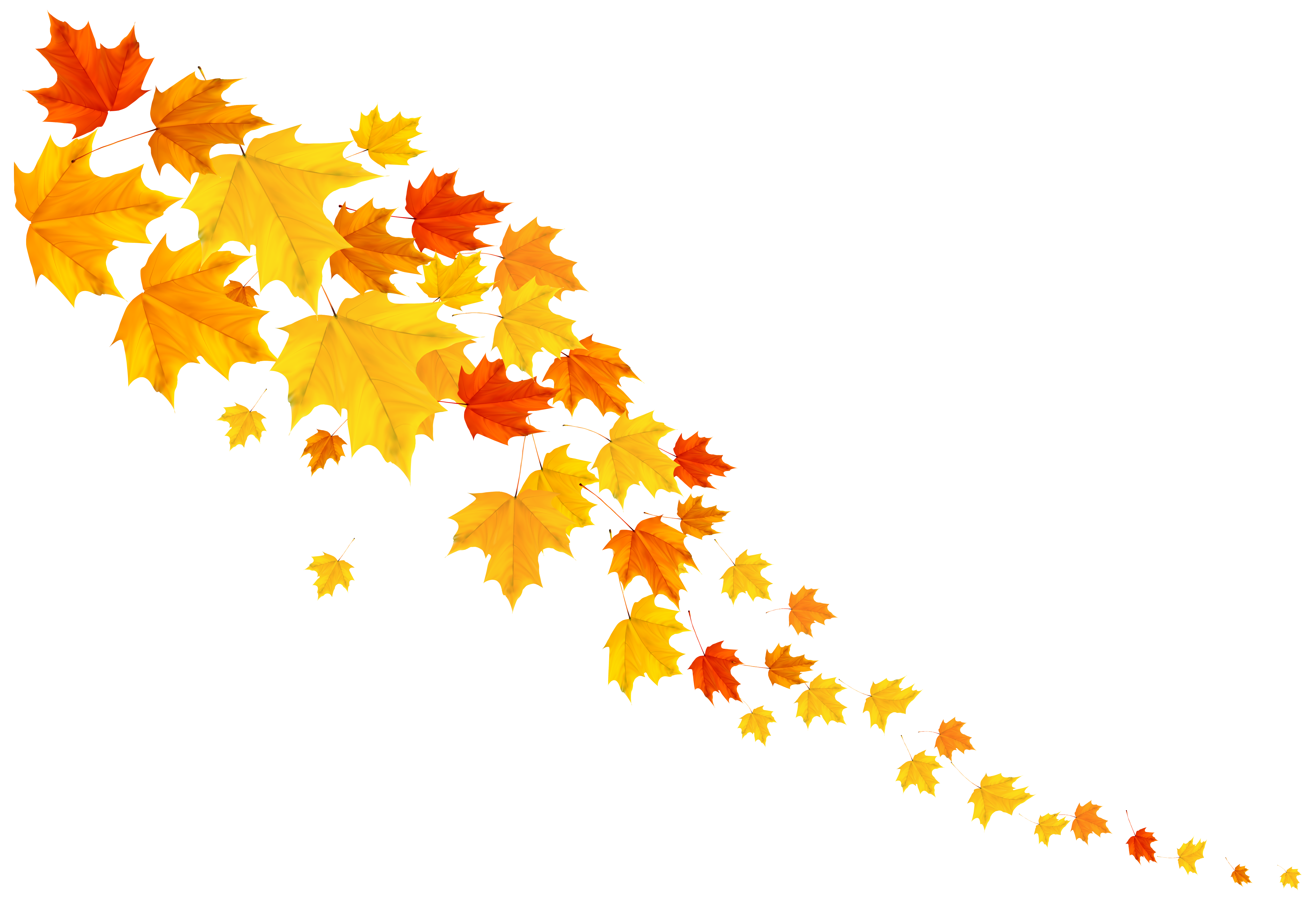 Decorative clipart autumn. Leafs png image gallery