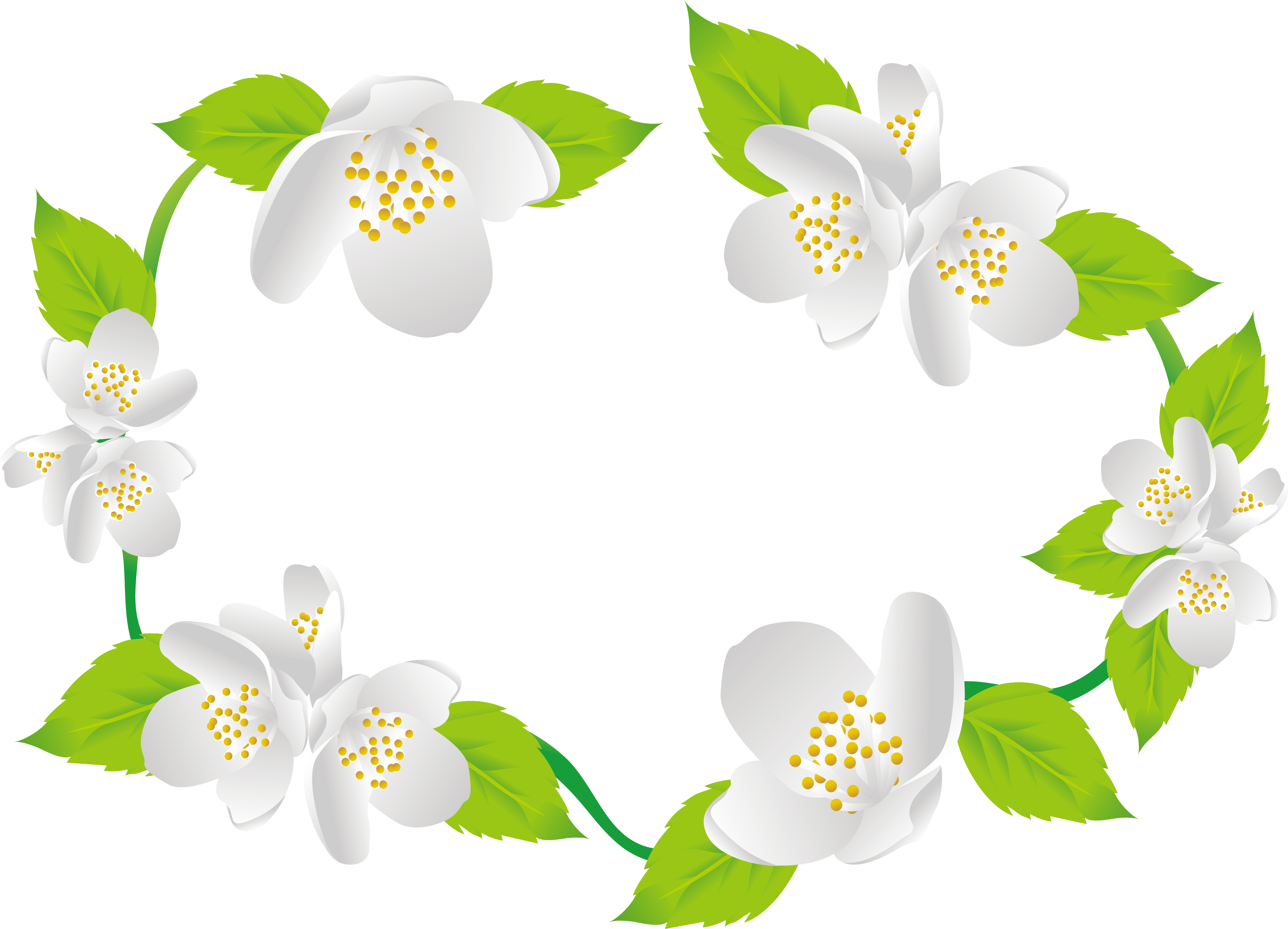 decorative clipart jasmine flower