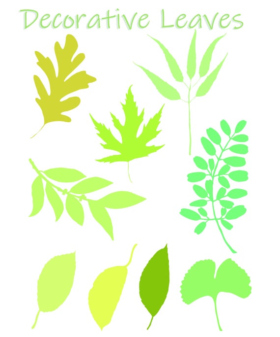 decorative clipart leaves